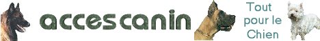 www.accescanin.com : Tout Pour le Chien